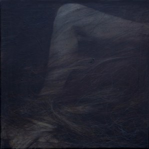 Rudimentær. Hår 2 ⌘ Rudimentary. Hair 2.