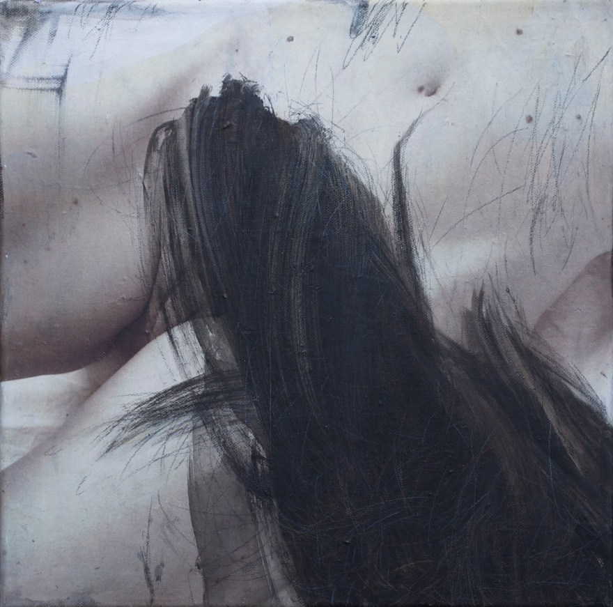 title: rudimentær. hår 5/ rudimentary. hair 5. 30 x 30 cm 3 000 DKR