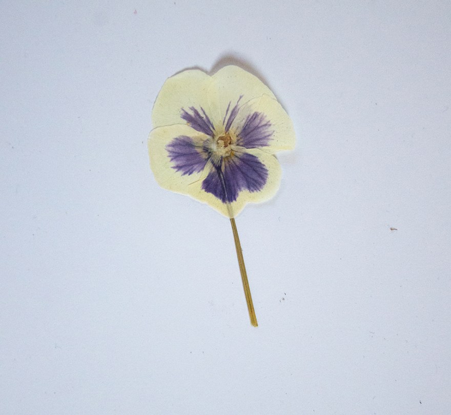 Johanne Randen: OM AT GRO UDSTILLING ⌘ HOW TO GROW EXPOSITION