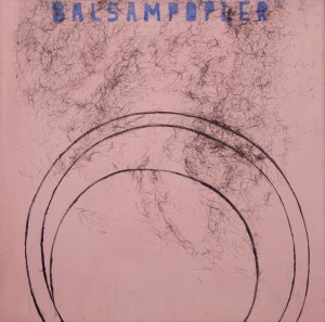 Hulrum.-Balsampopler/Cavity.-Cottonwood